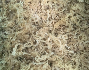 Golden Sea Moss / St. Lucian Raw Wildcrafted 50g / 150g