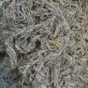 Green Sea Moss / St. Lucian Raw Wildcrafted 50g or 150g