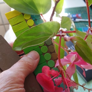 May include: A close-up of a green and brown plastic tile mosaic ruler with the numbers 16, 17, 18, 19, 20, 21, 22, and 23 visible. The ruler is being held by a hand and is partially obscured by a green plant with pink flowers.