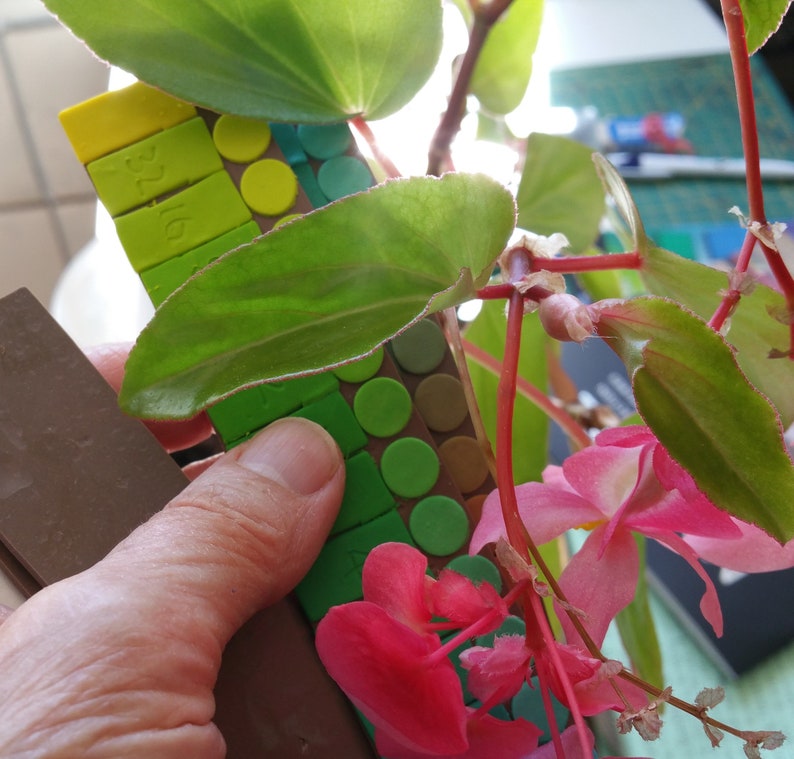 May include: A close-up of a green and brown plastic tile mosaic ruler with the numbers 16, 17, 18, 19, 20, 21, 22, and 23 visible. The ruler is being held by a hand and is partially obscured by a green plant with pink flowers.