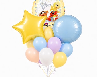 Sesame Street Beginnings Baby Shower Balloon Bouquet 12 pc