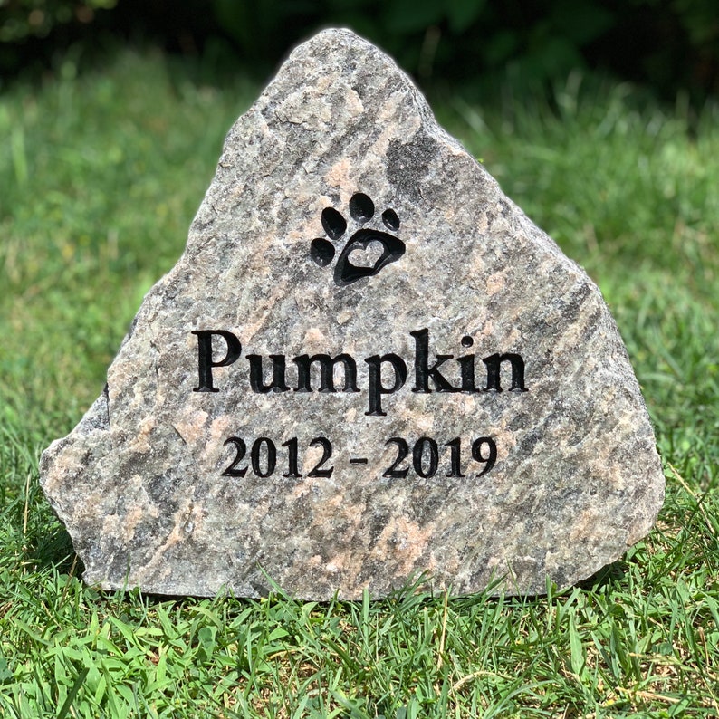 May include: A gray granite memorial stone with a paw print and heart design. The stone is engraved with the name "Pumpkin" and the dates "2012 - 2019".