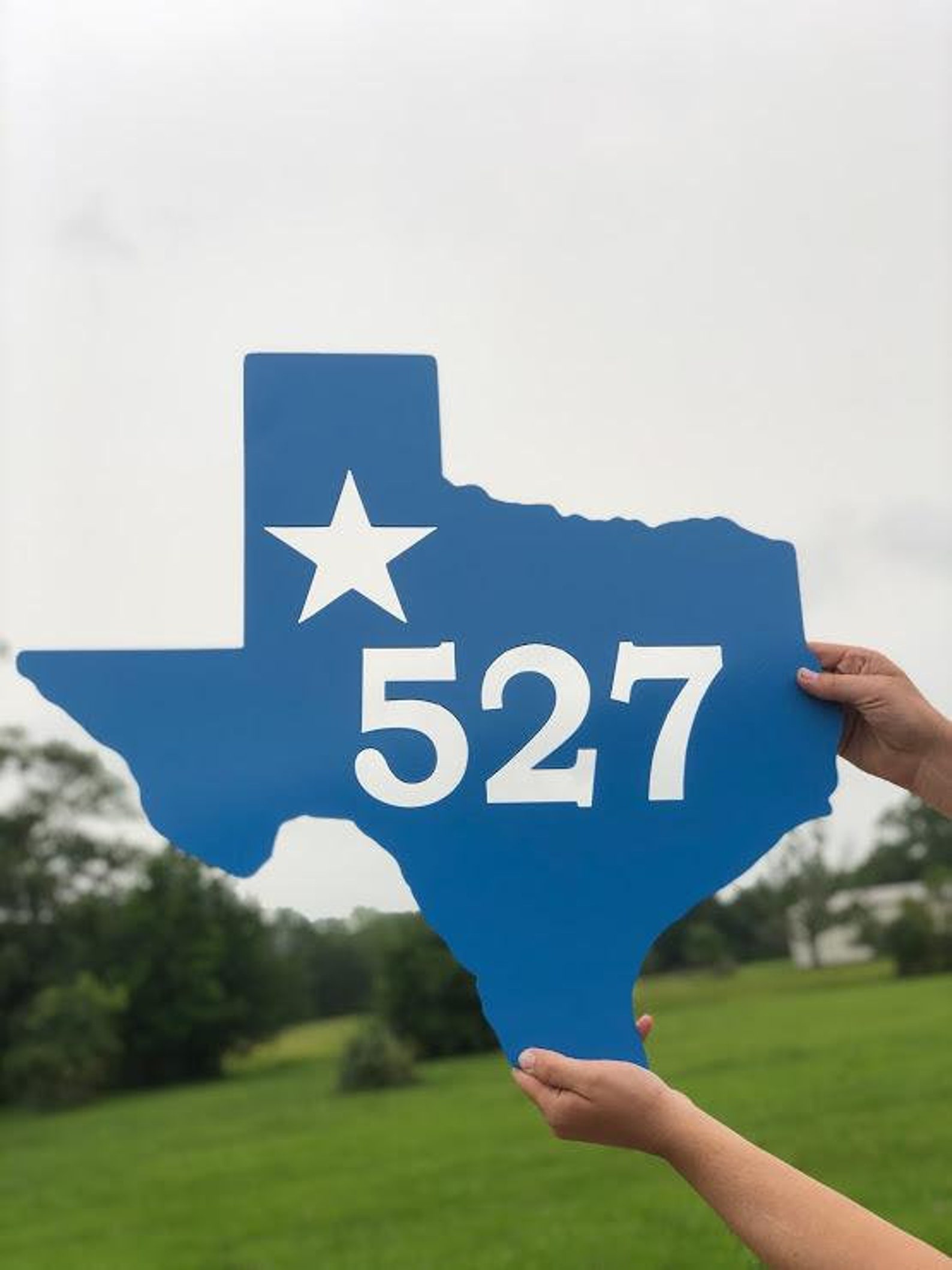 Custom Texas Address/ Name Sign Etsy