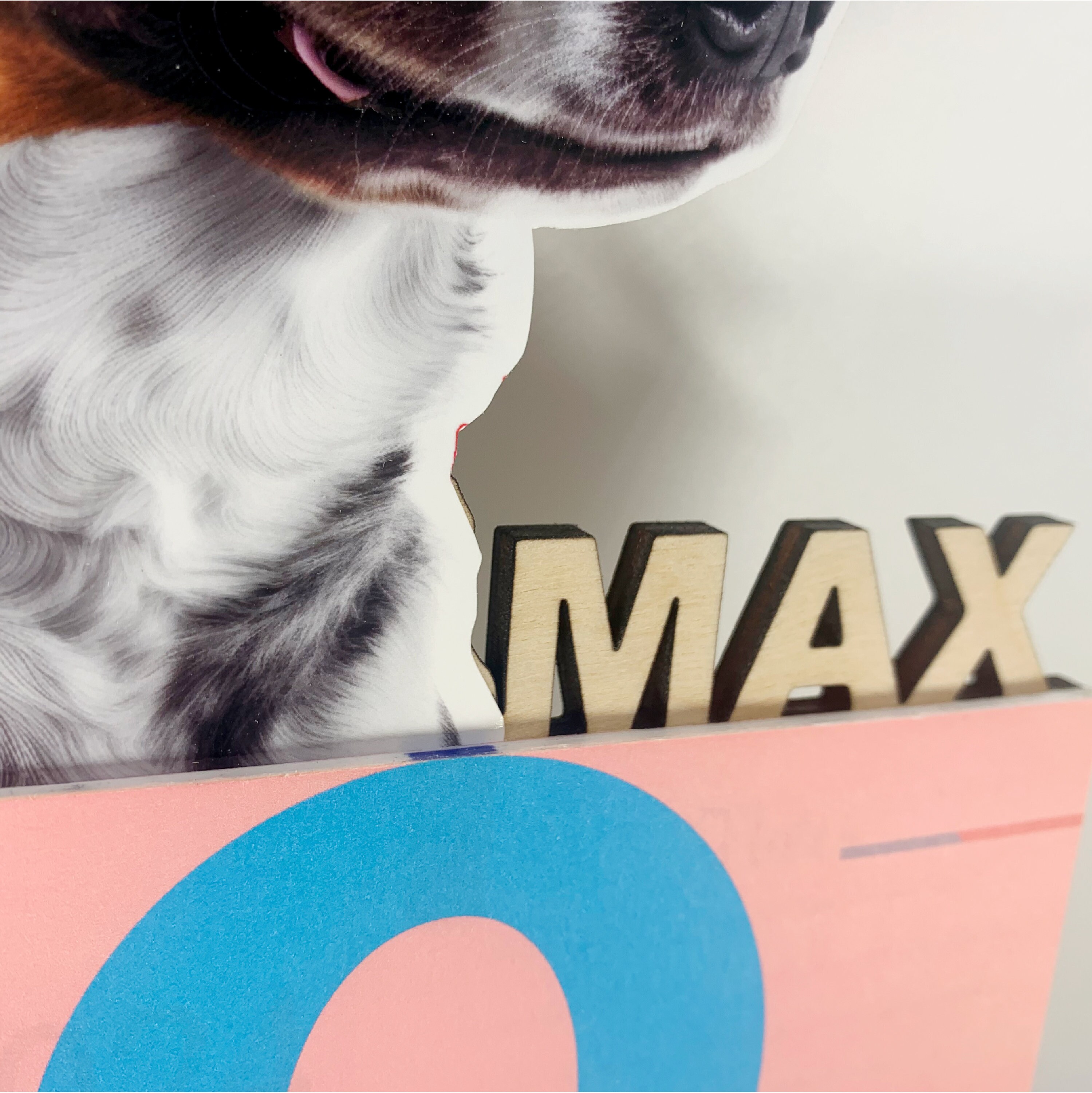 Calendar Calendar 2024 Pet Calendar Custom Calendar Custom Etsy