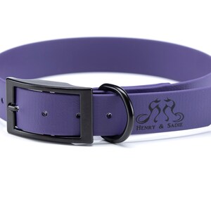 Henry & Sadie Purple Collar made using Beta BioThane® Webbing