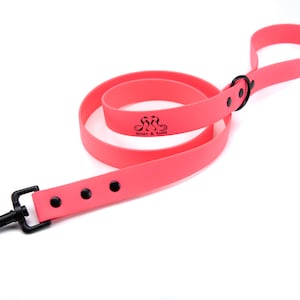 Henry & Sadie Hot Pink Lead made using Beta BioThane® Webbing