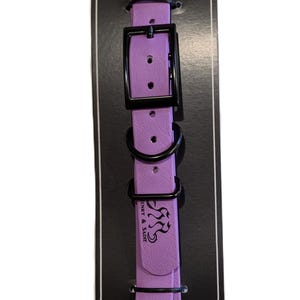 Henry & Sadie Amethyst Dog Collar made using Beta BioThane® Webbing