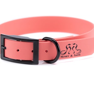 Henry & Sadie Coral Collar made using Beta BioThane® Webbing