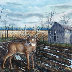 May include: A large white-tailed buck stands in a muddy field with a weathered barn in the background. The field is plowed and has rows of plants. The sky is overcast and gray.