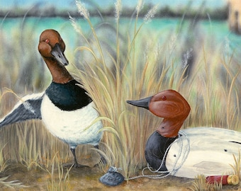 Blind Sided, 6 x 12 signed giclee print, Maryland, duck decoy, canvasback, waterfowl, Eastern Shore, Chesapeake Bay