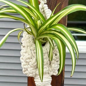 Handmade Macrame Air Plant Hanger: Boho Wall Decor