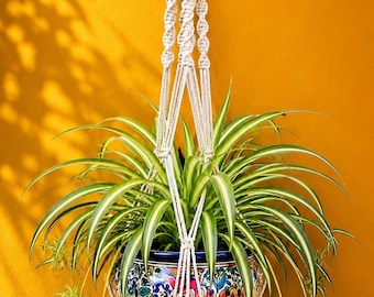 Colgador de macramé para plantas con detalles de conchas marinas / Decoración bohemia costera para el hogar / Regalo de maceta colgante hecha a mano