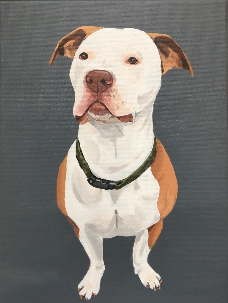 Custom Dog Portrait Pet Painting