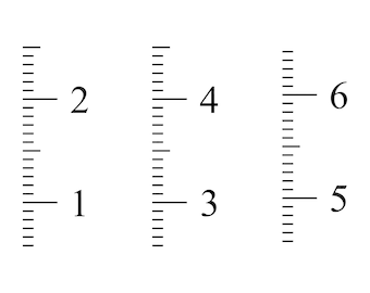 Growth Ruler Template