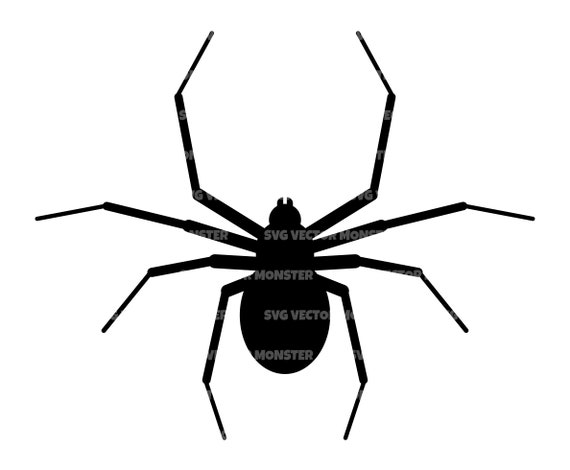 Spider Svg Black Widow Svg Bug Svg Insect Svg Vector Cut Etsy