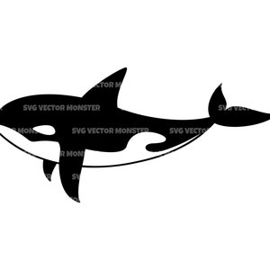 Puede incluir: Ilustración en blanco y negro de una orca. La orca se representa de perfil, con su cuerpo negro y sus distintivas marcas blancas. Incluye el texto "SVG VECTOR MONSTER".