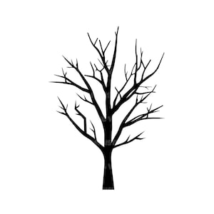 May include: Silhouette of a bare tree with branches reaching upwards against a white background.