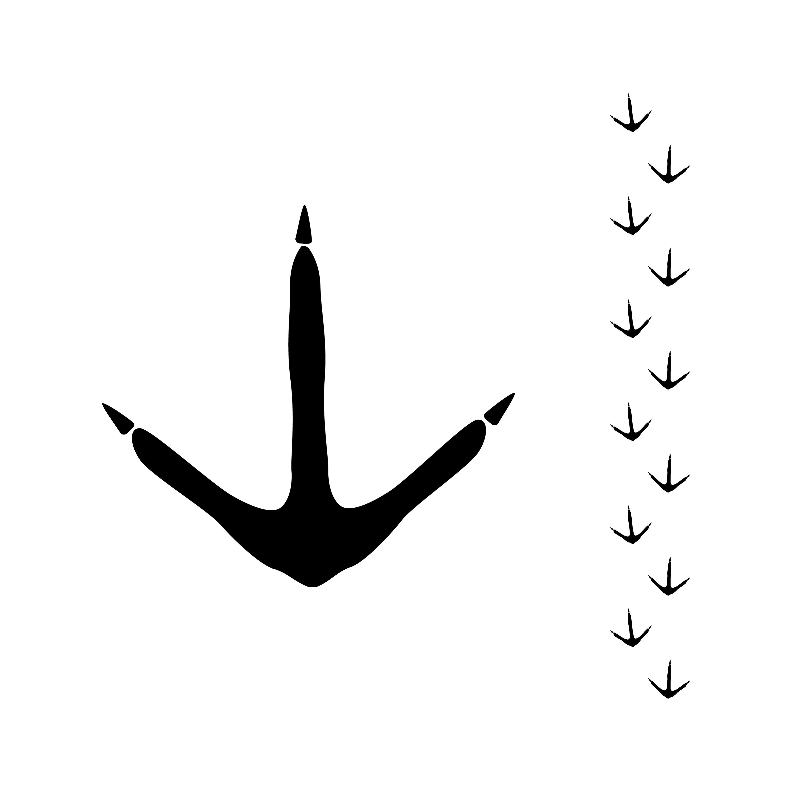 Bird Footprint Art
