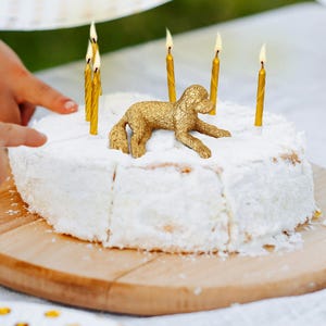 Topper na tort z psem Doodle, Goldendoodle, Bernedoodle, Aussiedoodle, Labradoodle, Sheepadoodle, Cavapoo, prezent urodzinowy, ślubny, dla miłośnika Doodle