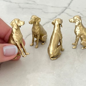 May include: Four small, gold-colored dog figurines in various poses. One figurine is held by a hand, while the others are arranged on a light-colored surface. The dogs are detailed and appear to be made of metal.