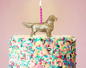 May include: A round cake covered in colorful sprinkles sits on a white cake stand. A gold dog figurine and a lit pink candle are on top. The background is a solid pink color.
