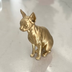 Jeweled sphynx outlet pet place