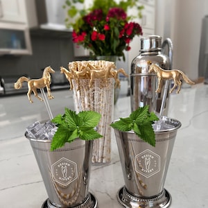 Paard drinkroerders, Kentucky Derby-feest, thema paard feest, decor paard feest, decor paard, decor paardendrank, bruiloft, drinkstokjes, drankmarkering