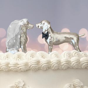 May include: A wedding cake topped with two silver dog figurines. One dog wears a veil, the other a bow tie. The cake has white frosting with decorative piping and is set against a blurred background.