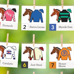 2024 Kentucky Derby Decorations, Banner, Derby Horses, Jockey Silks, Party Banner, Official Post Positions, Derby Printables, Leaderboard