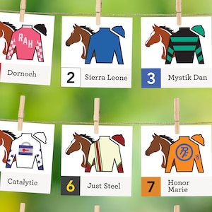 2024 KY Derby Banner, Post Positions, Horses, Jockey Silks, Gate Number, Horse Color, Party Printable, Digital Download, Lineup, Leaderboard