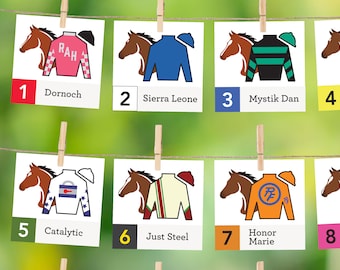 2024 Kentucky Derby Decorations, Banner, Derby Horses, Jockey Silks, Party Banner, Official Post Positions, Derby Printables, Leaderboard