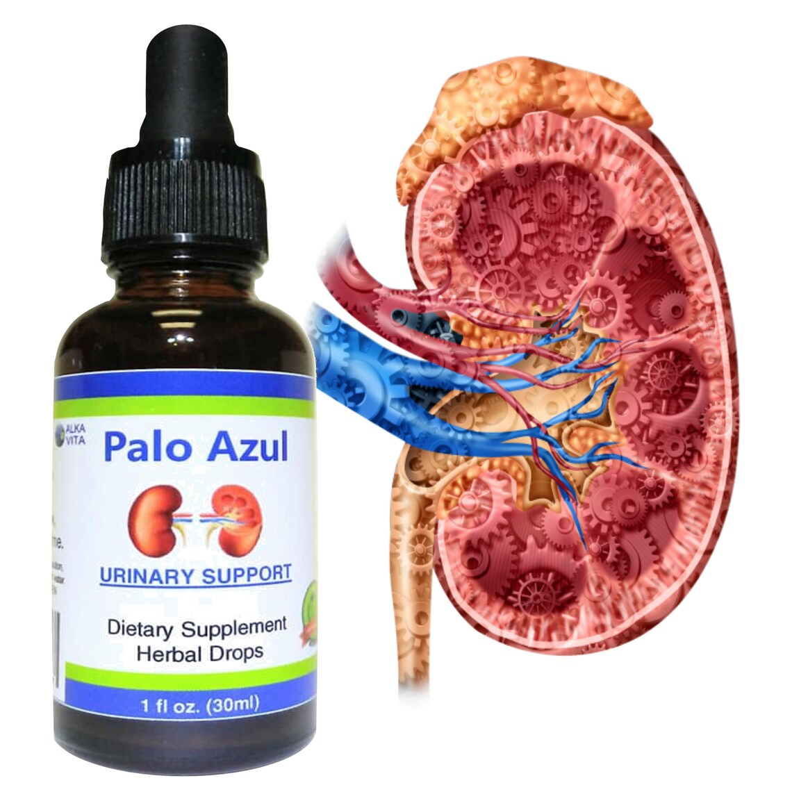 Kidneys Flushing Palo Azul Urinary Cleansing Support Herbal Etsy