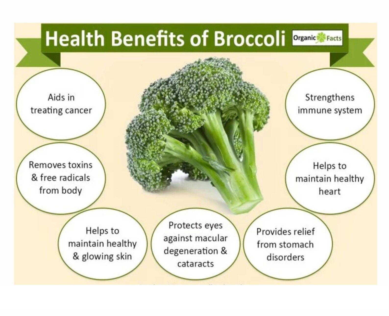 Broccoli & Spinach Immune System Booster Healthy Body Energy Etsy