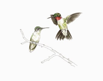 Ruby-Throated Hummingbird Print, Nature Wildlife Art Print, Hummingbird Art, Watercolor, Giclee Art Print, Bird Print, Wildlife Illustration