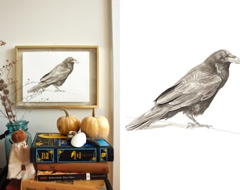 Raven Print, Nature Wildlife Art Print, Raven Art, Raven Painting, Giclee Art Print, Bird Print, Wildlife Illustration