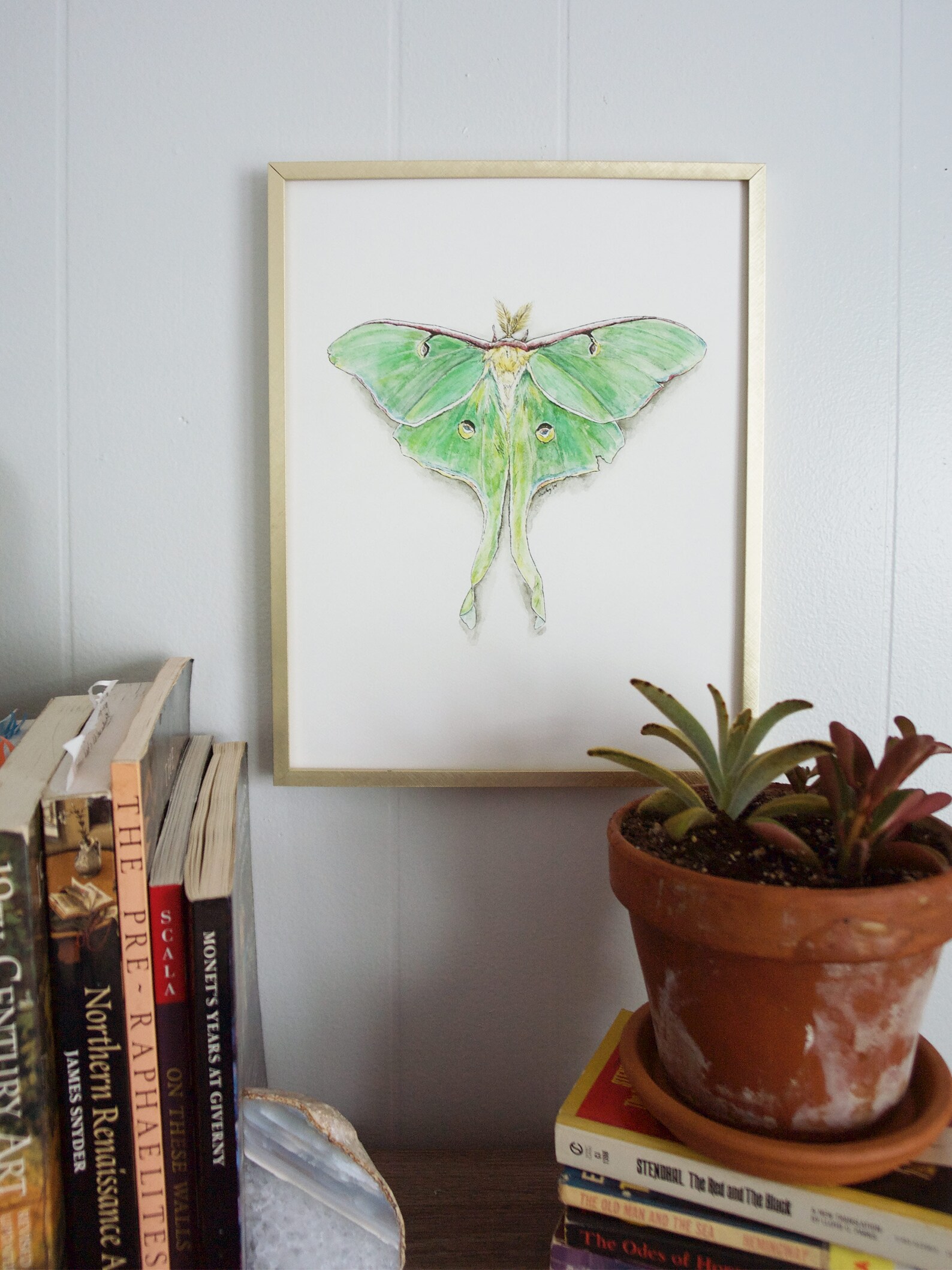 Luna Moth Print Nature Wildlife Art Print Luna Moth - Etsy