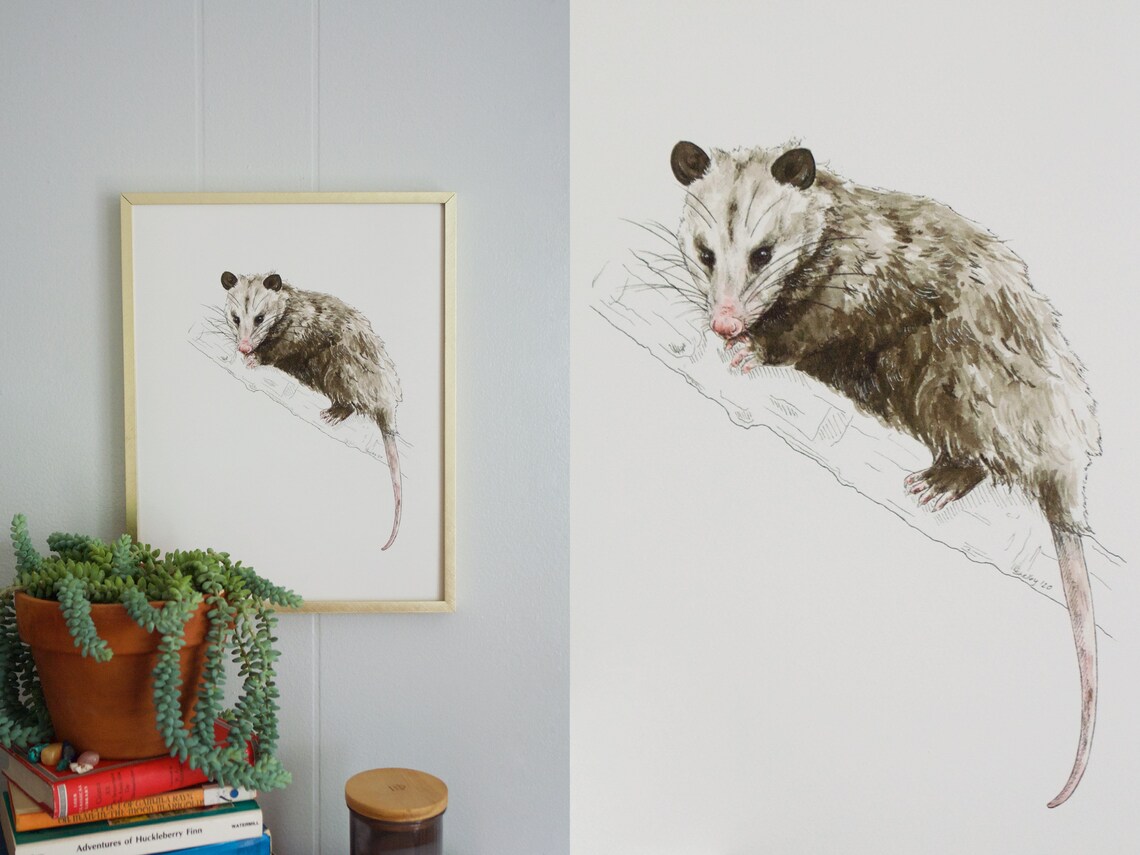 Opossum Print Nature Wildlife Art Print Opossum Watercolor | Etsy