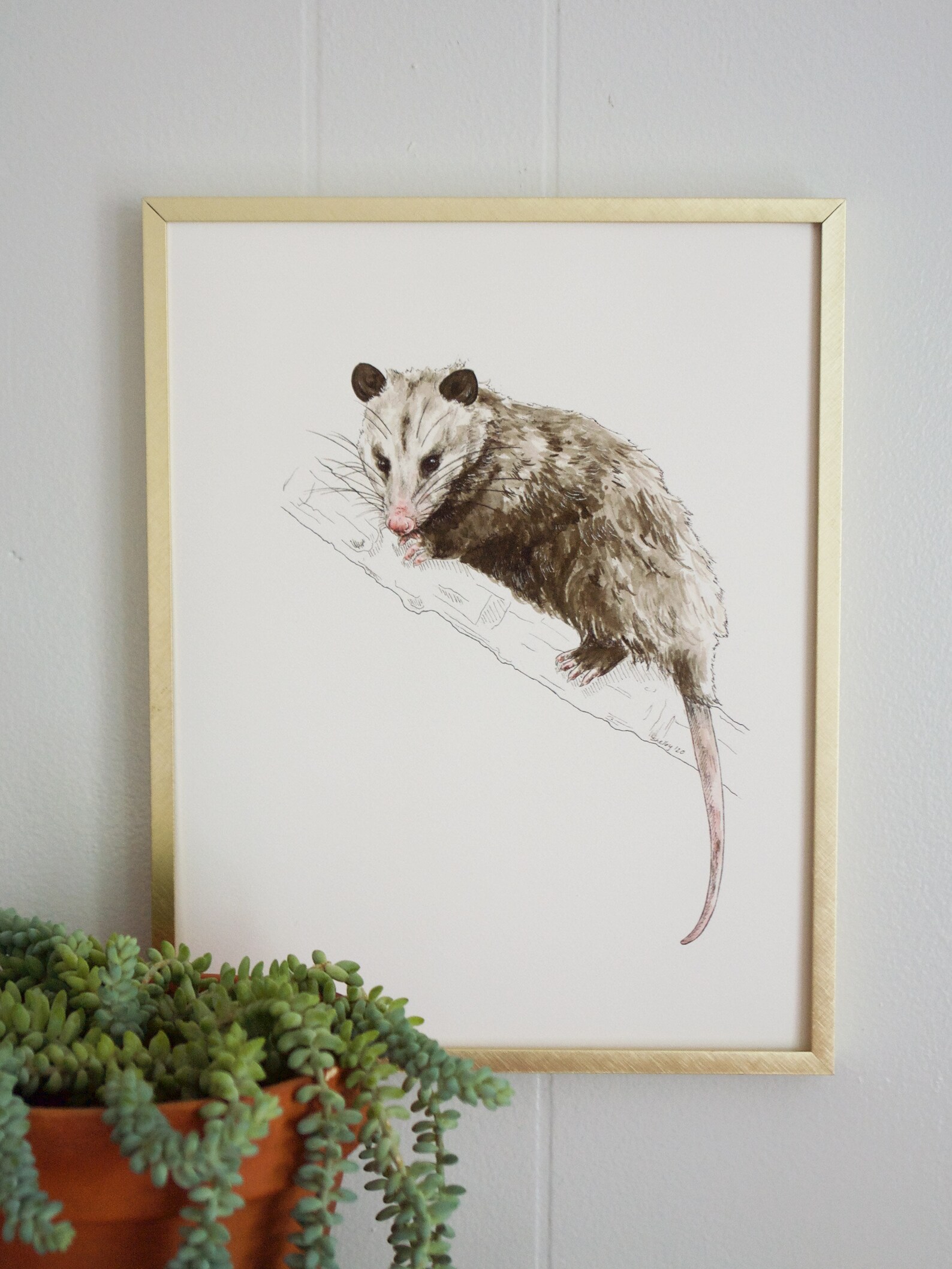 Opossum Print Nature Wildlife Art Print Opossum Watercolor - Etsy
