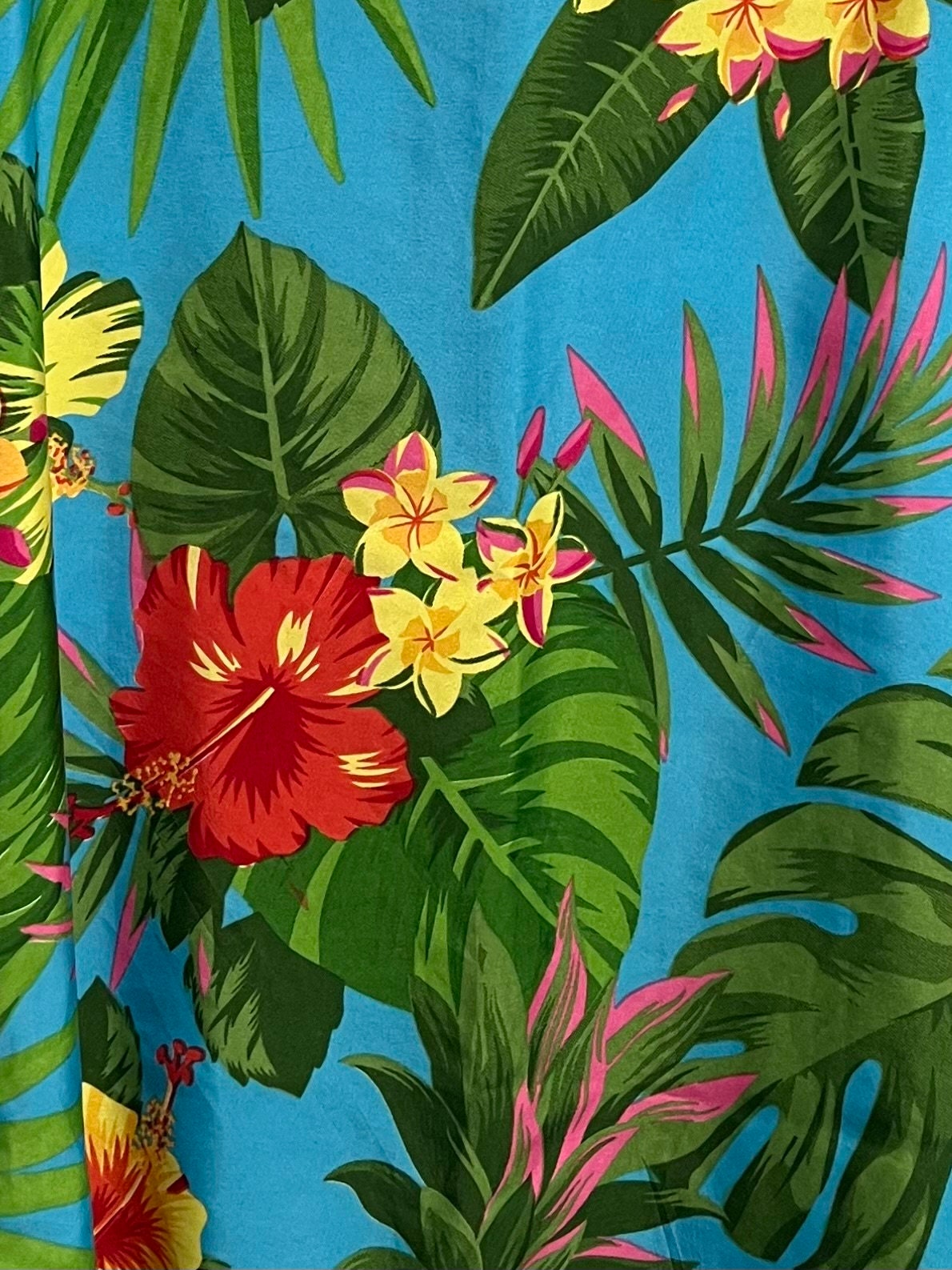 Hawai`i Unbuttoned: A Practical Guide to Buying and Selling True-Vintage  Hawaiian Shirts