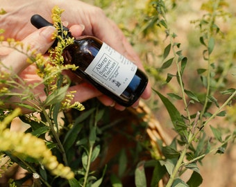 Allergy Support | Tincture | Sinus Relief | Hay Fever