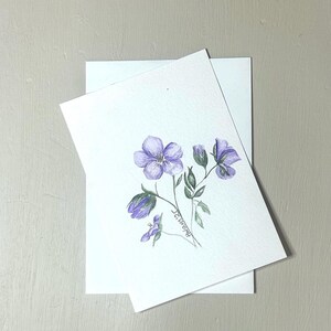 Cartolina botanica originale raffigurante la gru dei prati, realizzata ad acquerello.