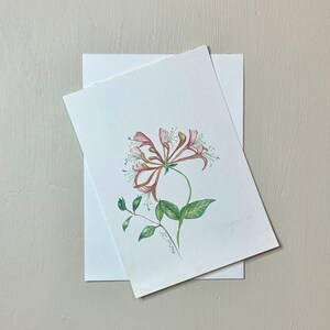 Caprifoglio Cartolina botanica originale ad acquerello
