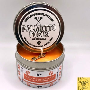 Palmetto Foxes Candle or Wax Melt: Sweetie's Ice Cream Special Scented | AFTG | Neil Josten | Andrew Minyard | Kevin Day | Bookish | BookTok