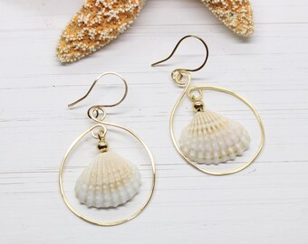 Gold Seashell Hoop Earrings – Beach Jewelry, Real Shell Earrings, Coastal Gift for Her, Ocean Inspired Jewelry, Stardust Cove