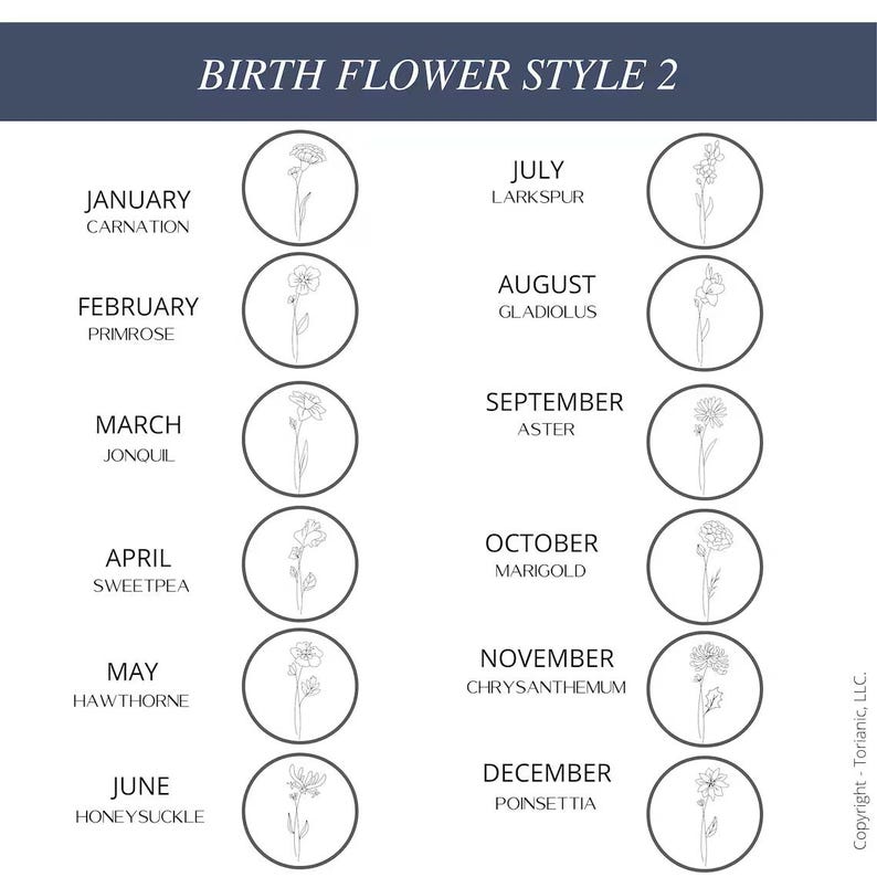 May include: A chart titled BIRTH FLOWER STYLE 2 listing months from January to December with corresponding flower names and line art illustrations in circles. Flowers include carnation, primrose, jonquil, sweetpea, hawthorne, honeysuckle, larkspur, gladiolus, aster, marigold, chrysanthemum, and poinsettia.