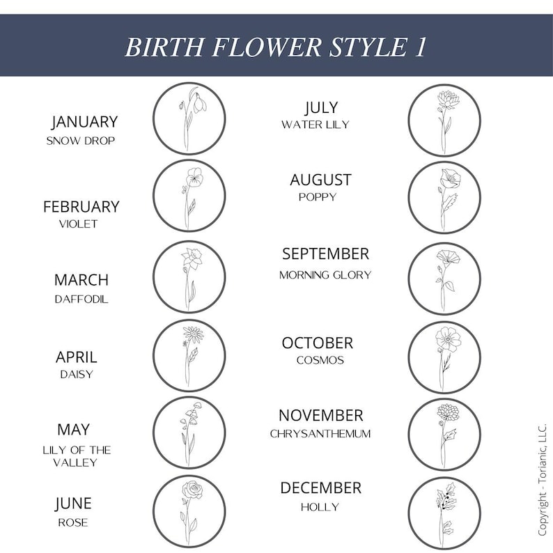 May include: A chart titled BIRTH FLOWER STYLE 1 displaying twelve months from January to December. Each month is paired with its corresponding birth flower name and a black and white line drawing of the flower enclosed in a circular frame.