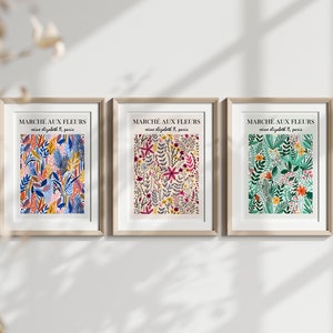 Marché aux Fleurs no.1 Set of 3, Bright Colourful Abstract Art, Wall Print, Matisse Style, Botanical, Plants, Modern, French, Flower Market