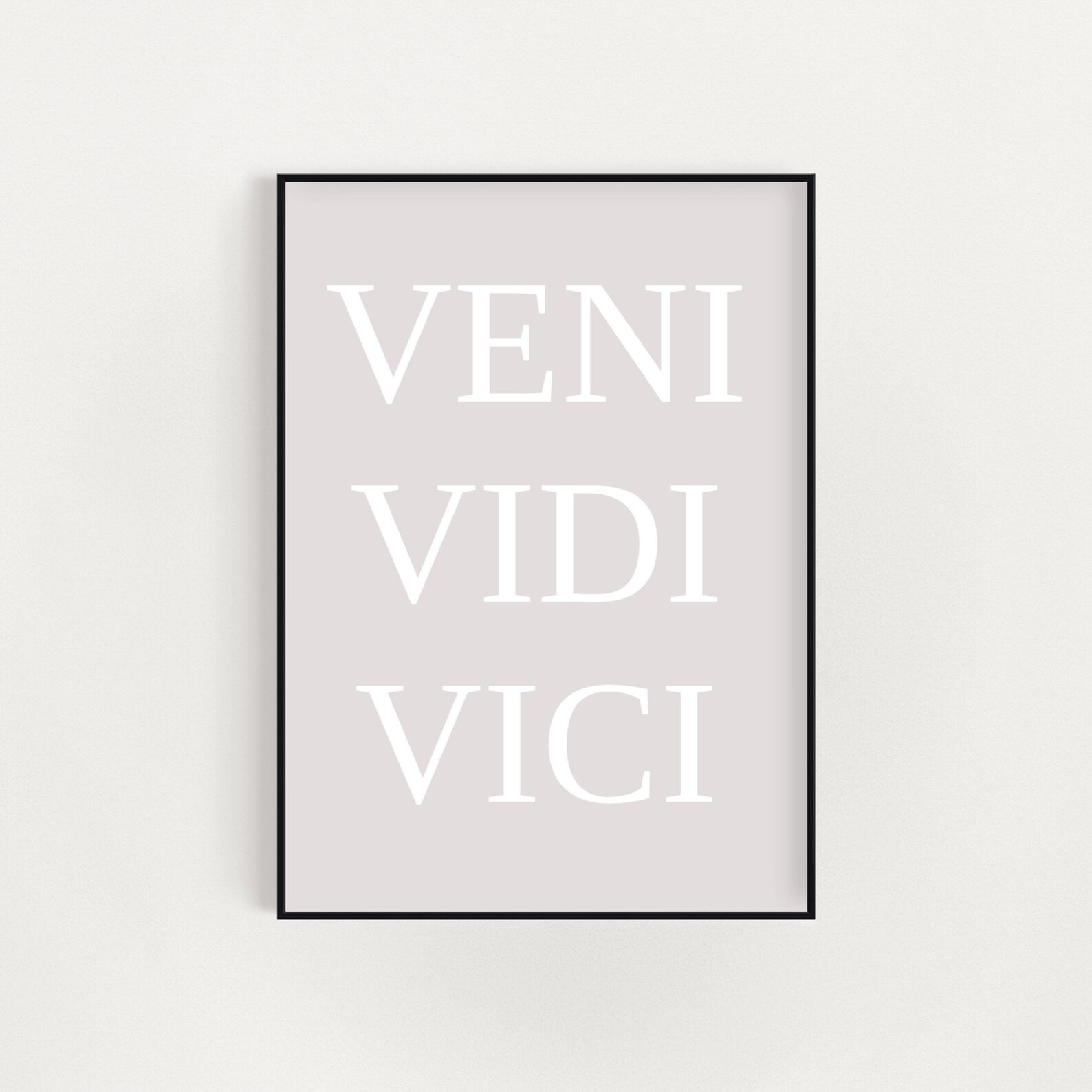 veni vidi vici i came i saw i conquered veni vidi vici i came i saw i conquered
