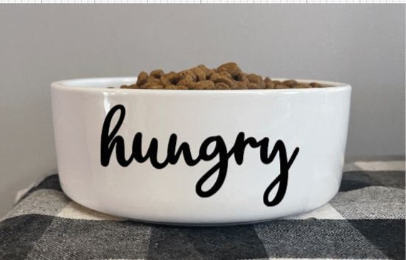 Hungry dog bowl 2025