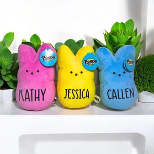 Ostern groß benutzerdefinierte 10 in Sachen Peep, personalisierte Bunny Peep, Ostern Peep Plüschtier, Osternest, Ostern Plüschtier, Ostergeschenke, Kinder Ostern